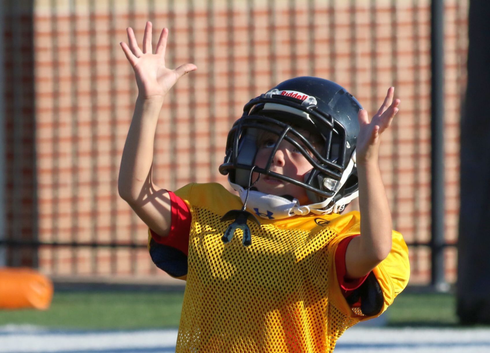 2020 Young Tiger Football Camp